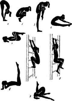 вправи при лордозі