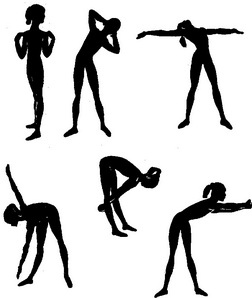 вправи для м'язів тулуба