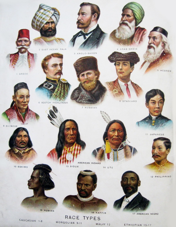 раси людини типи картинка