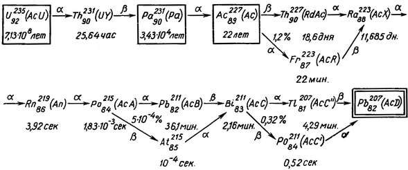 ряд актинія