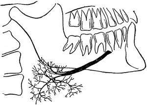 сиалография