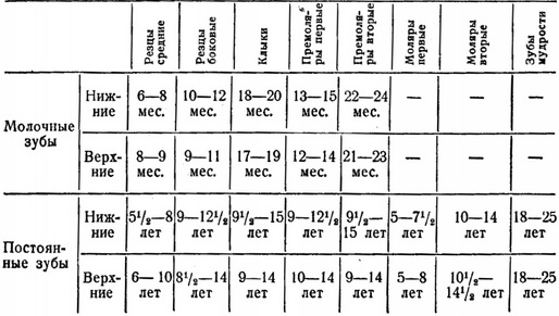 терміни прорізування молочних і постійних зубів