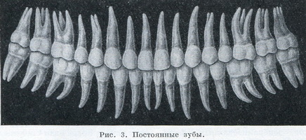 постійні зуби
