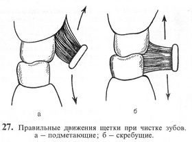 27.Правильные руху щітки при чищенні зубів