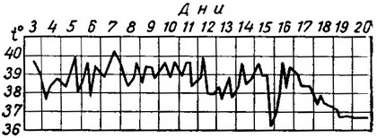 цуцугамуші